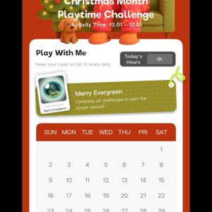 Ropet Christmas Challenge Daily Time Started