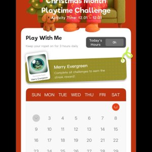 Ropet Christmas Challenge 3 Hours Daily