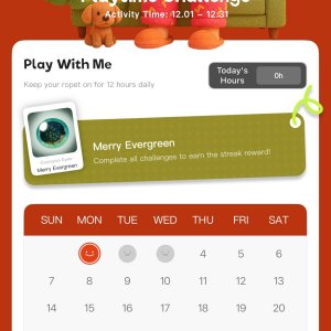 Ropet Christmas Challenge Update