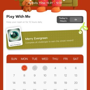 Ropet Christmas challenge app glitch