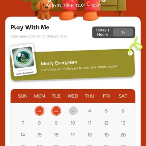 Christmas challenge display after app update