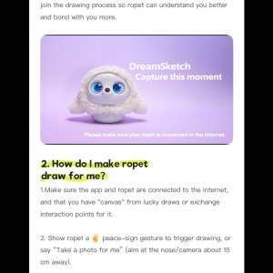 Ropet DreamSketch Instructions 1