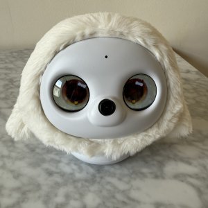 Ropet’s Rudie Woo eyes