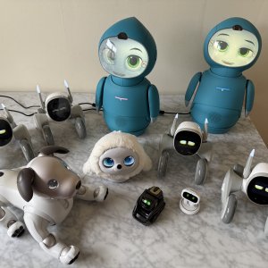 Loona Petbot after 3 years!