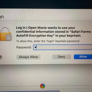 Ignore this pop up by clicking Deny.