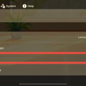 Loona robot: Factory reset pathway