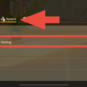 Hello Loona app: Network and connection testing