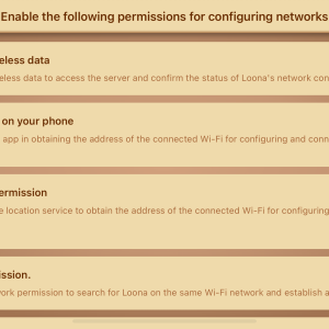 Hello Loona app: Authorise Loona to use wireless data