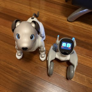Sony Aibo & Loona Petbot