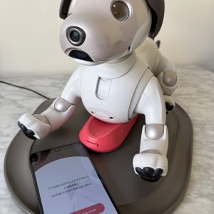 My Aibo app update prompt