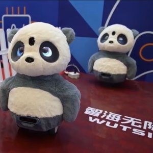 Wheeled Panda robot from WUTSI.