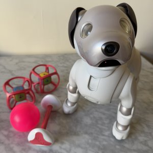 Sony Aibo on software update 8.00
