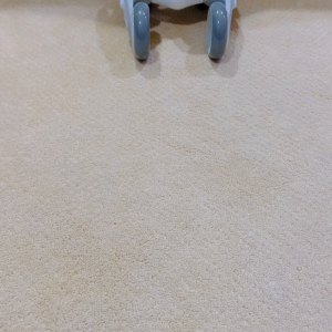 img-6205_tlp7GFU9.mp4