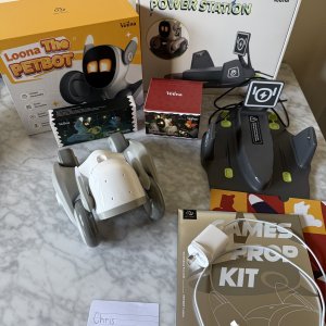 Loona Petbot with accessories plus power station