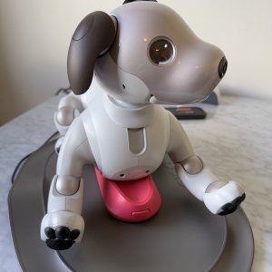 Sony Aibo lying on charging station