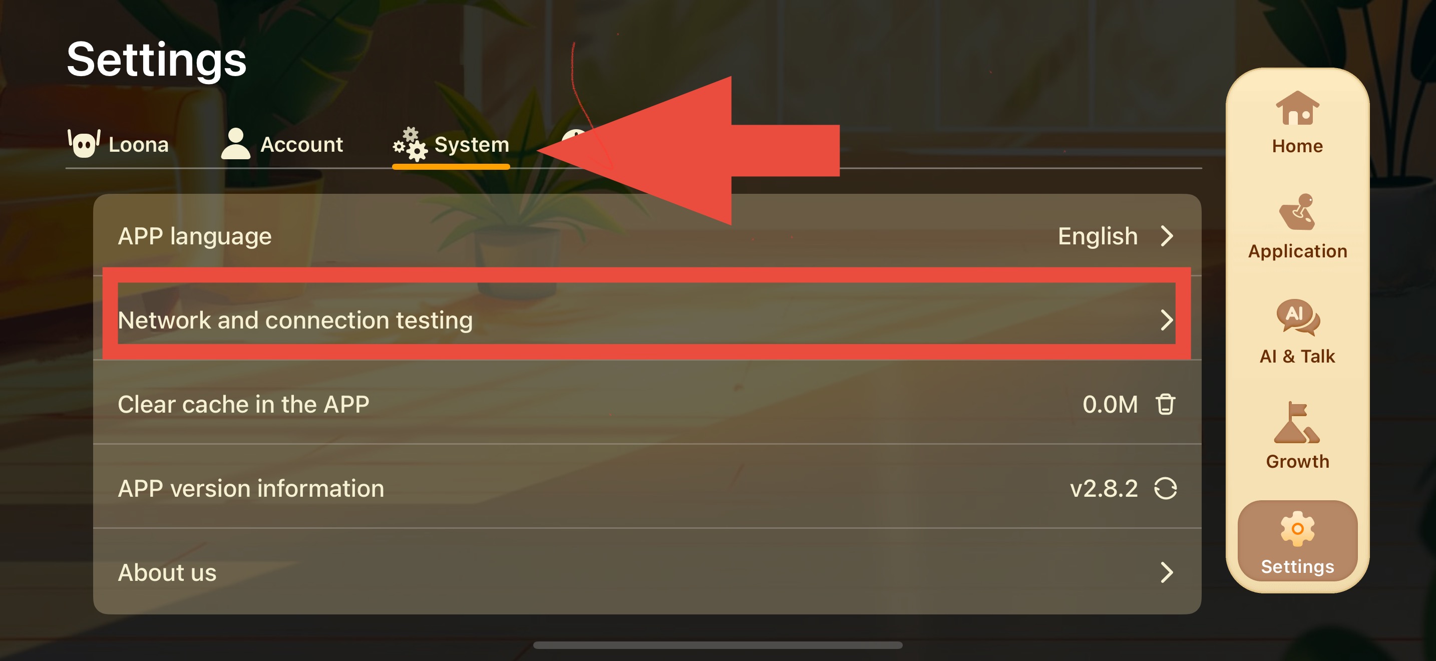 Hello Loona app: Network and connection testing