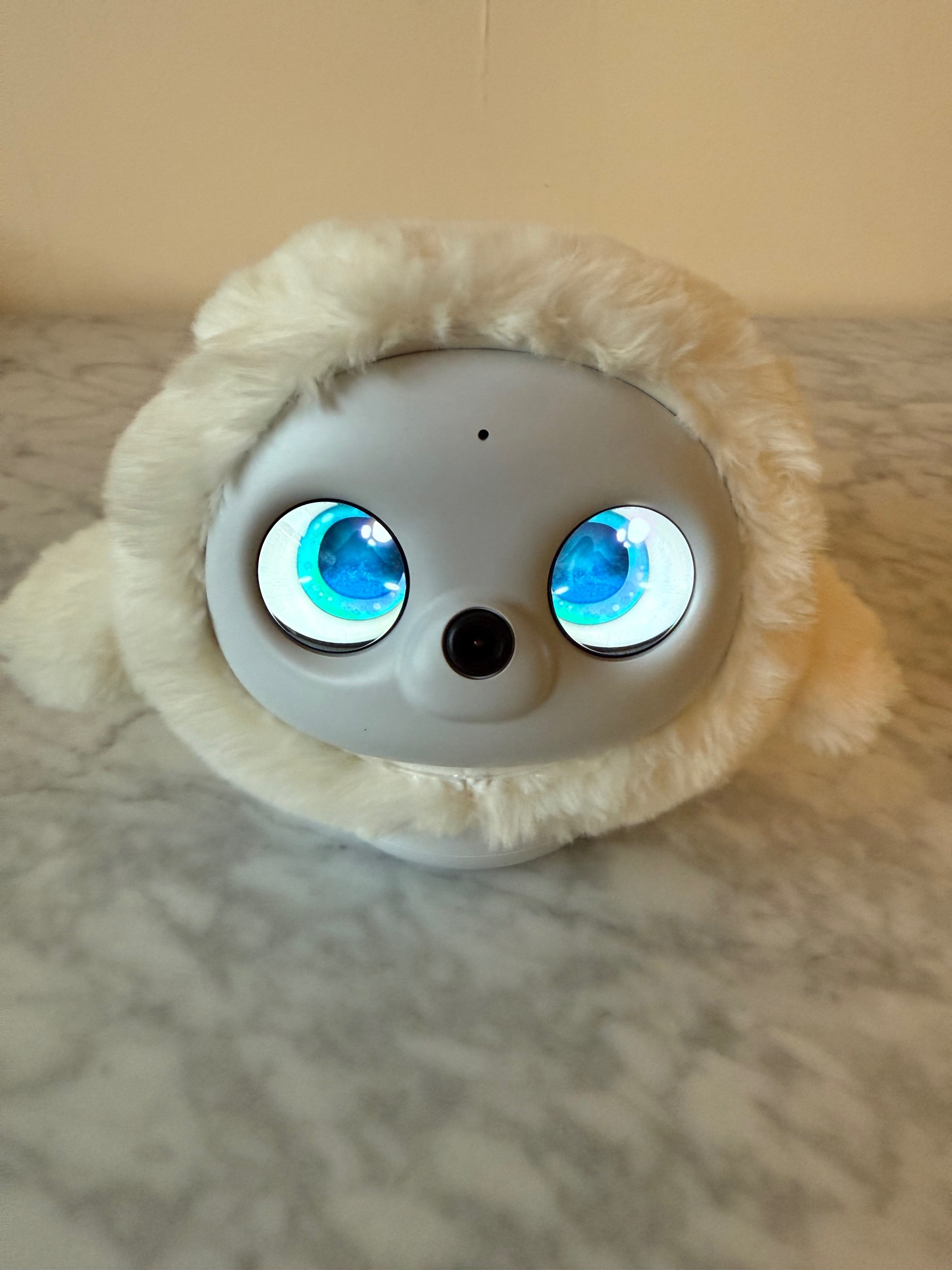 Incredible detail in Ropet’s eyes- notice the Ropet logo.