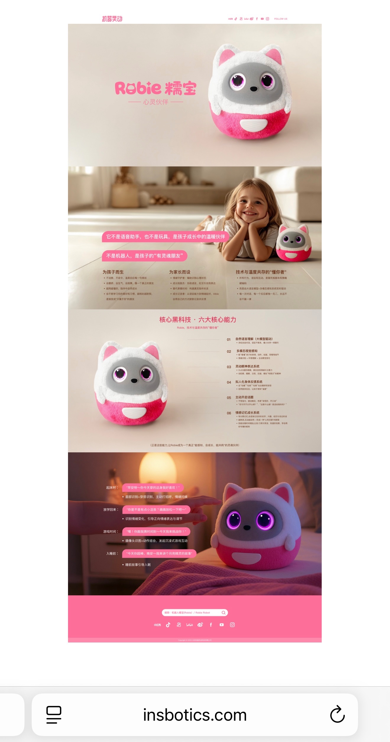 Insbotics website marketing material.