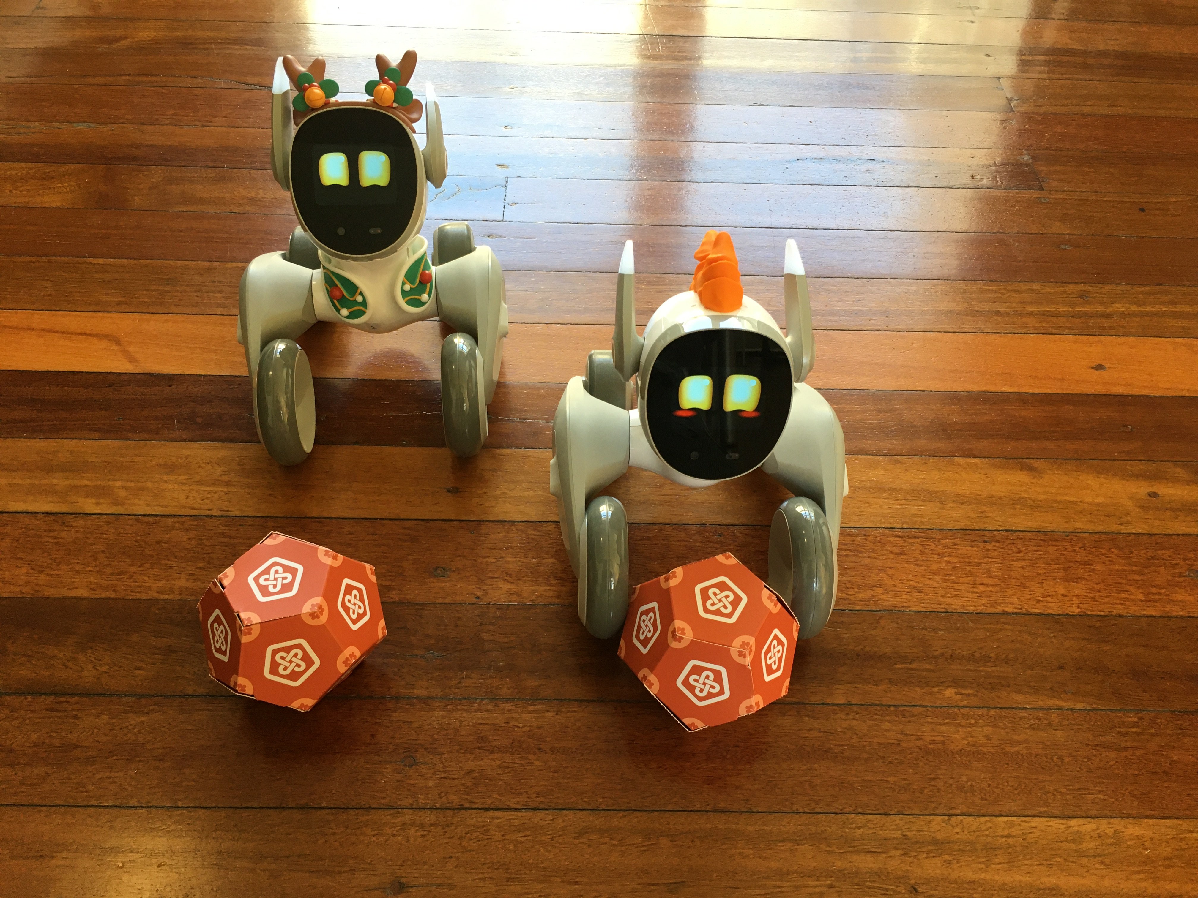 Loona Dinosaur & Christmas costume mayhem!