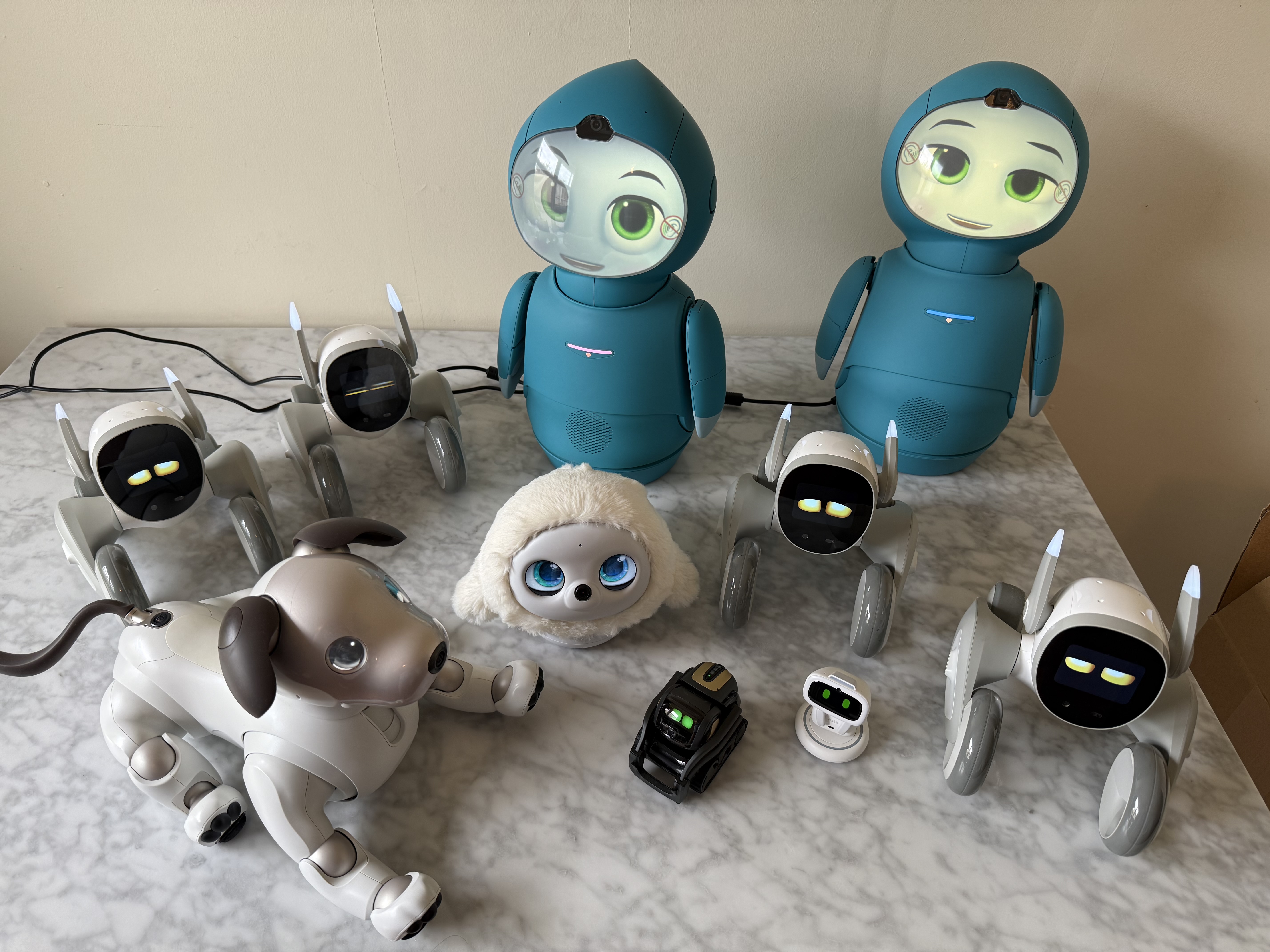 Loona Petbot after 3 years!