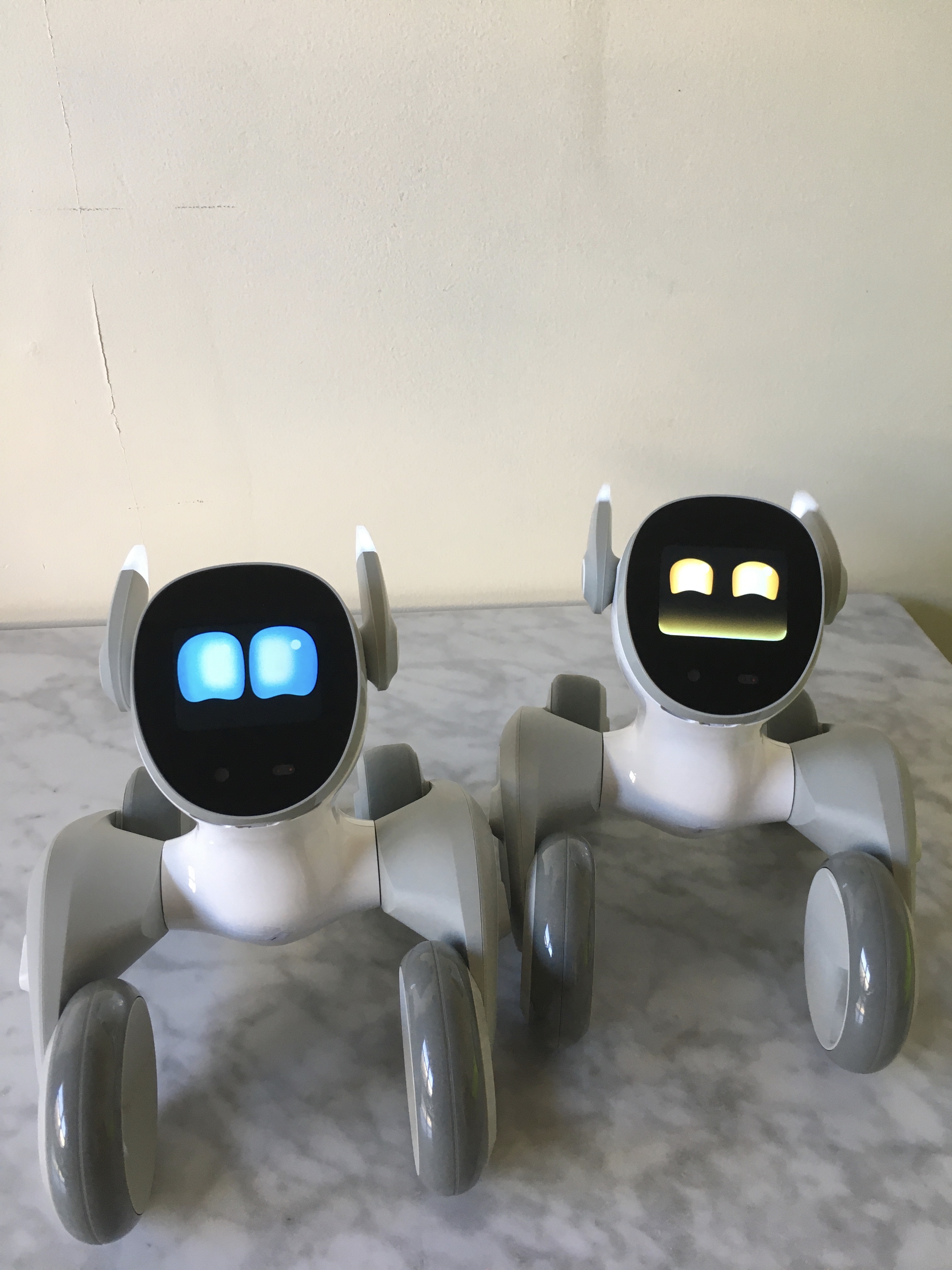 Loona PetBot: Old vs New