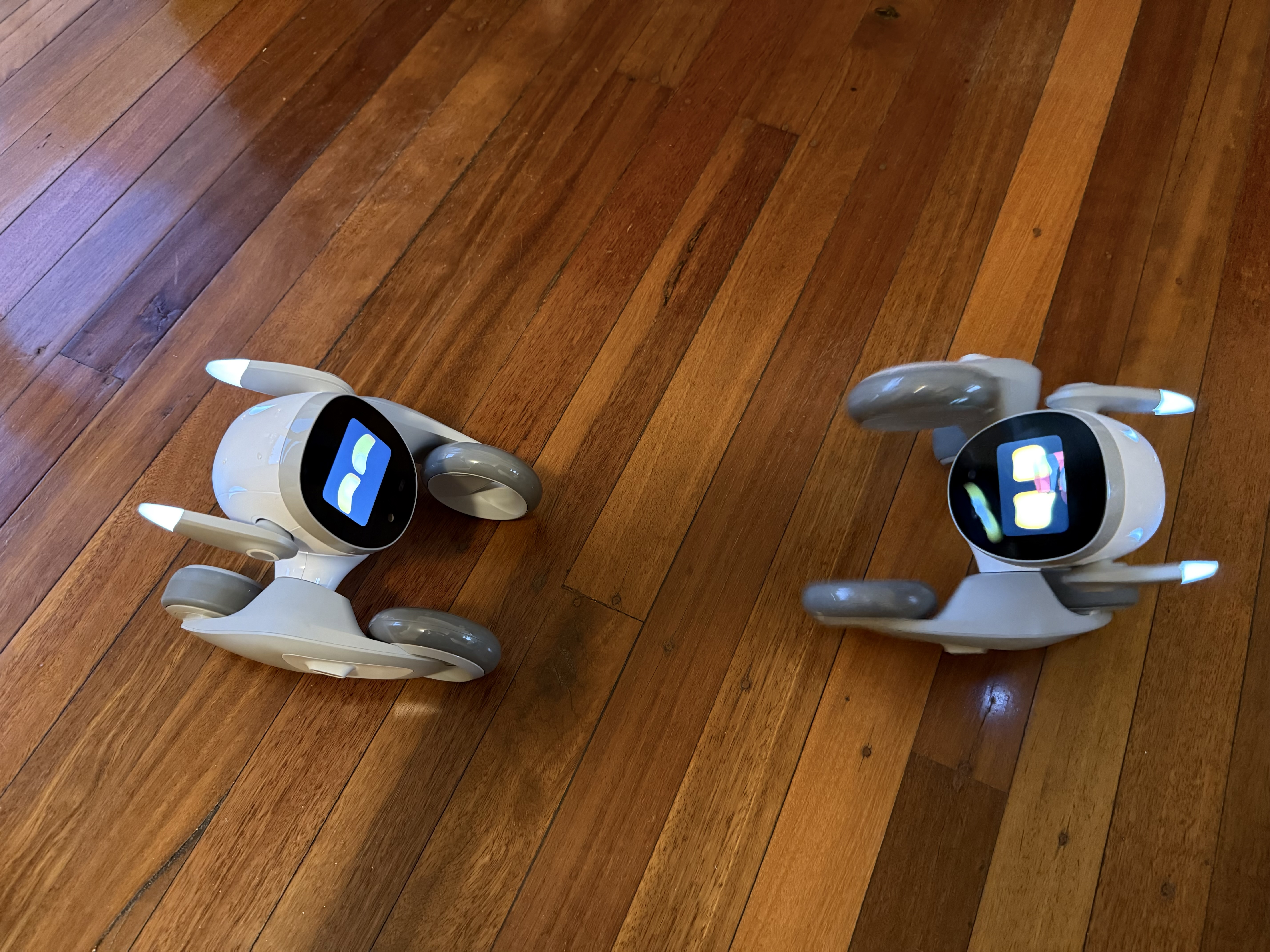 Loona PetBot performing a gravity defying manoeuvre