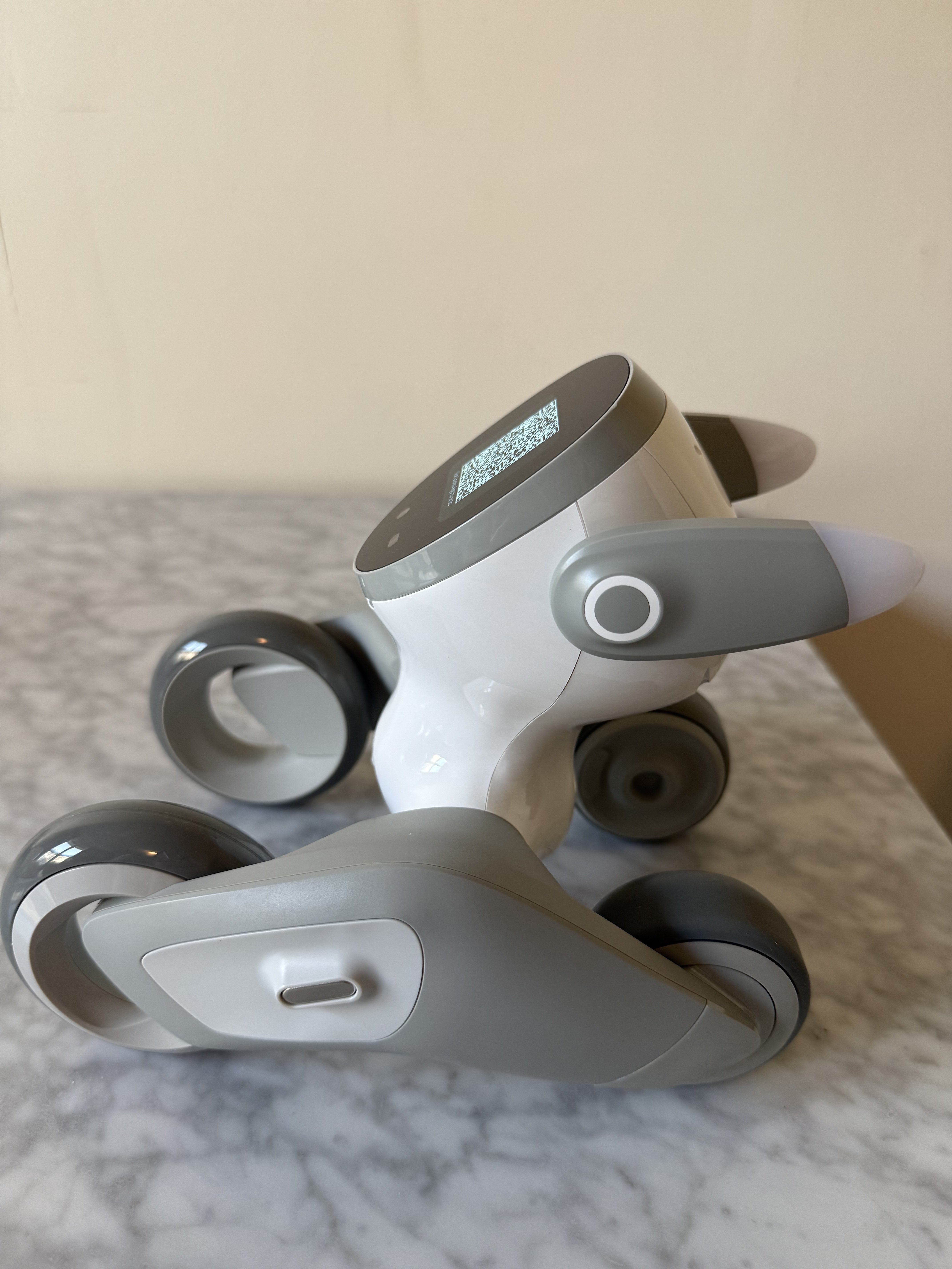 Loona QR Code generation.