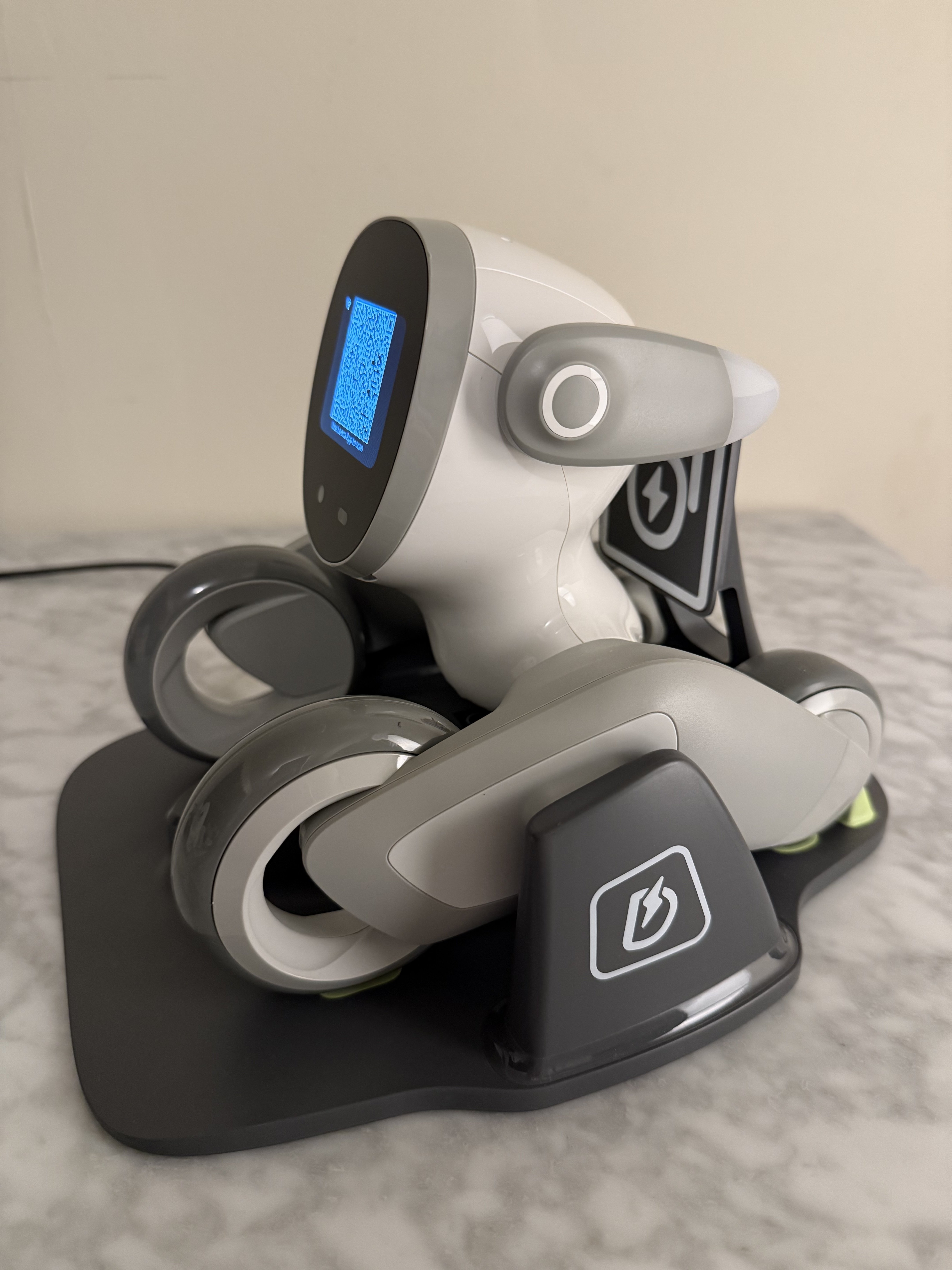 Loona QR code Wifi troubleshooting with charging station.