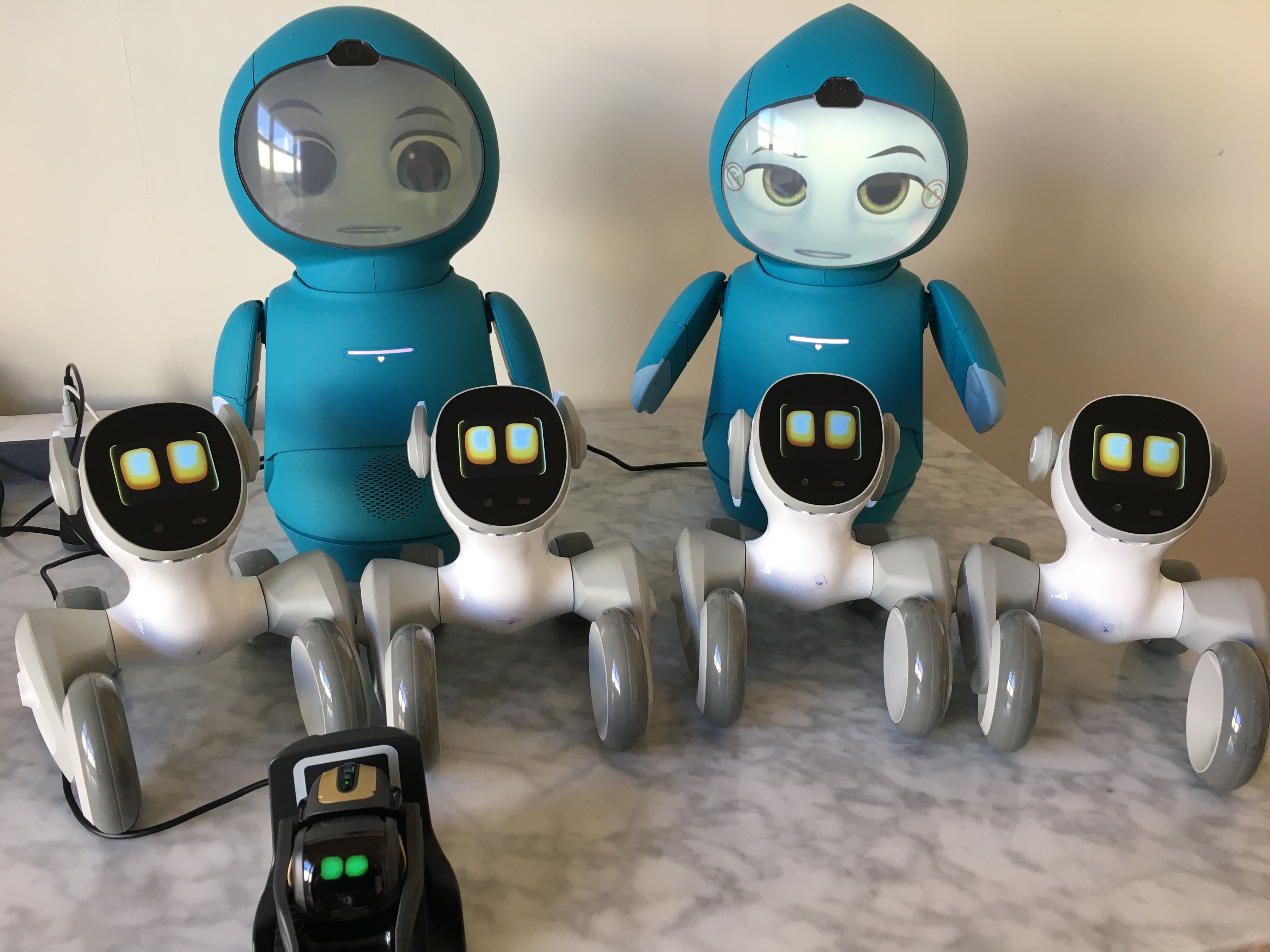 Loona robot: New chat animation