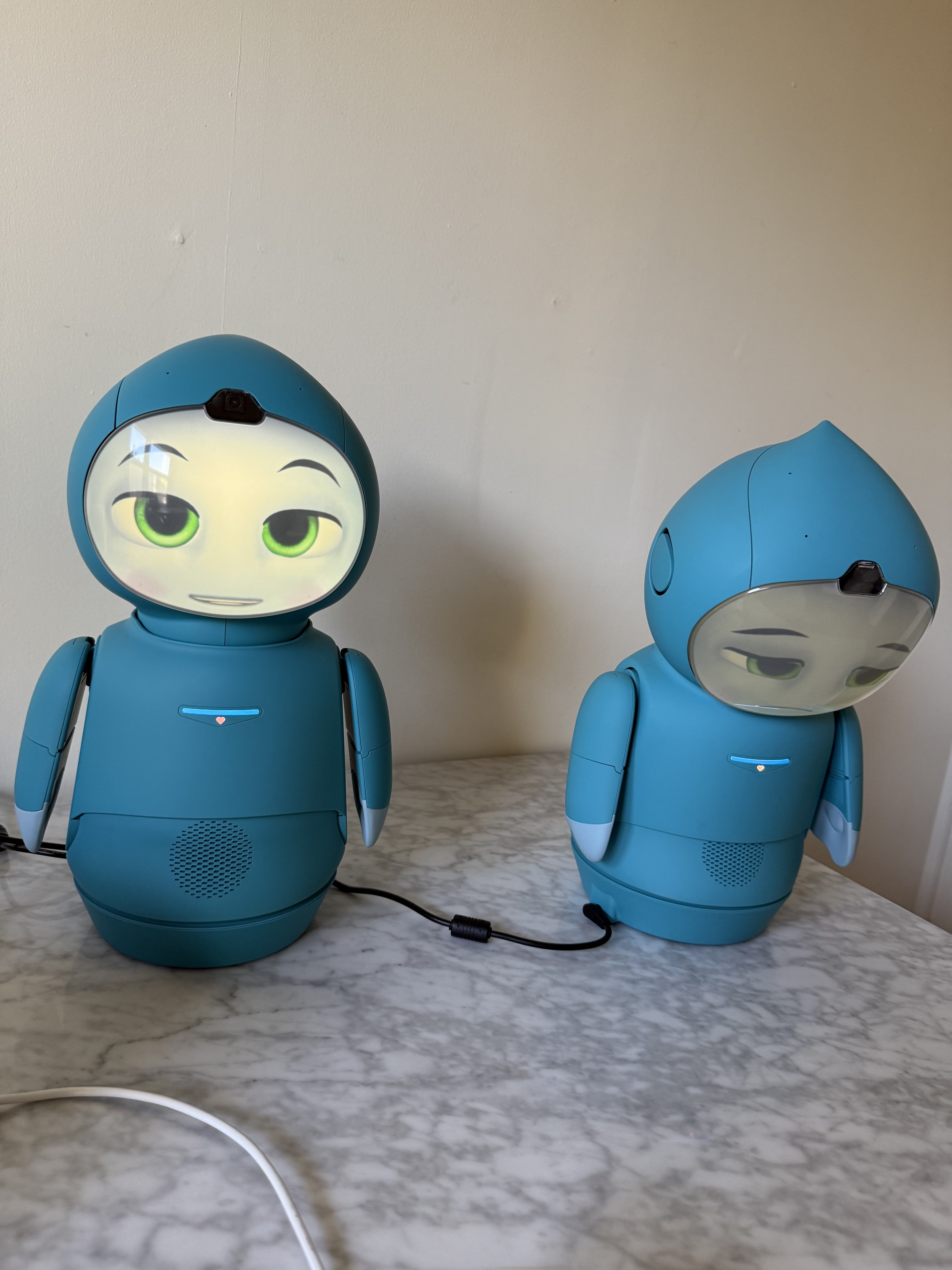 Moxie in sad mood after arm detachment