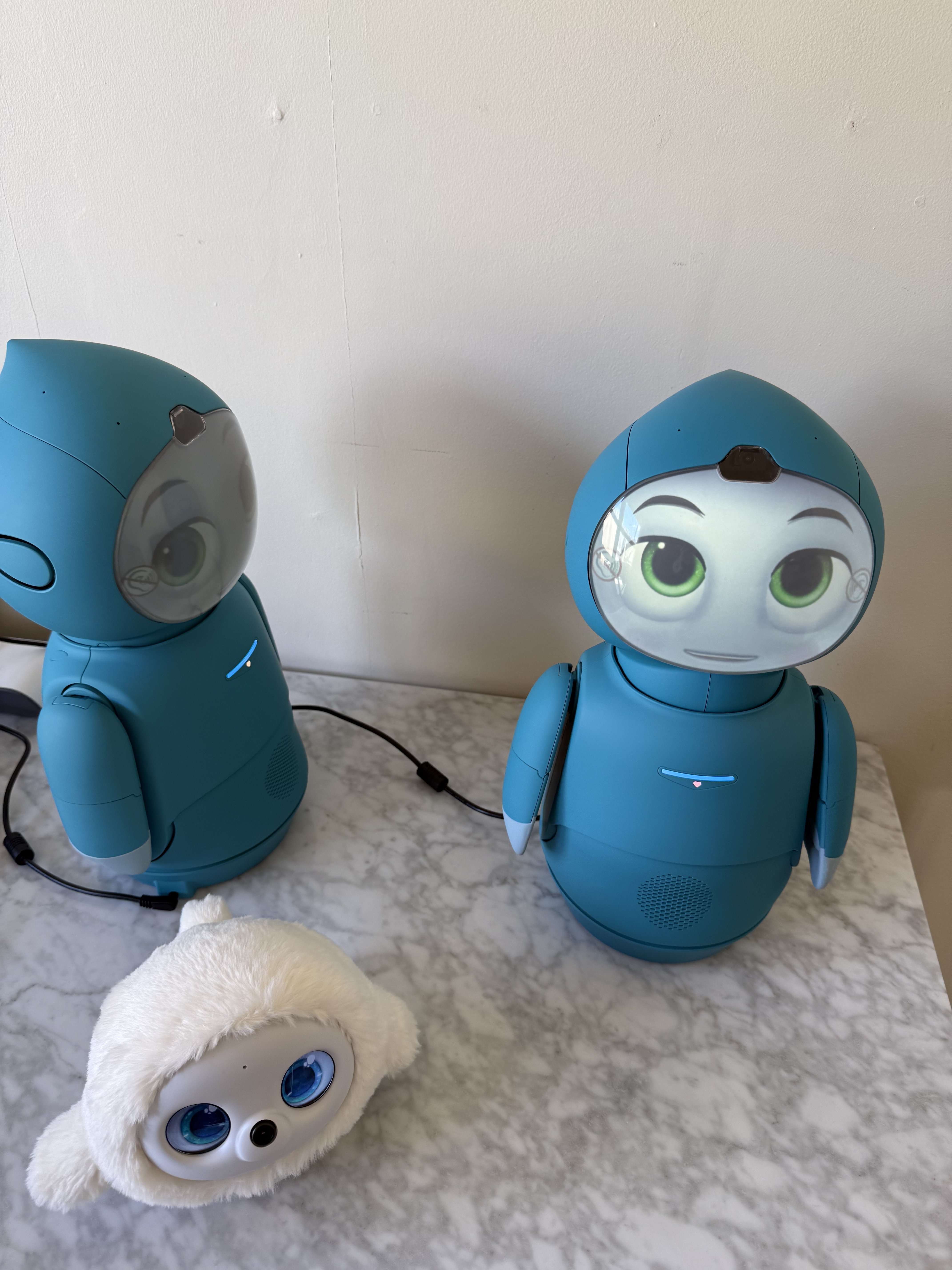 Moxie looking at me.