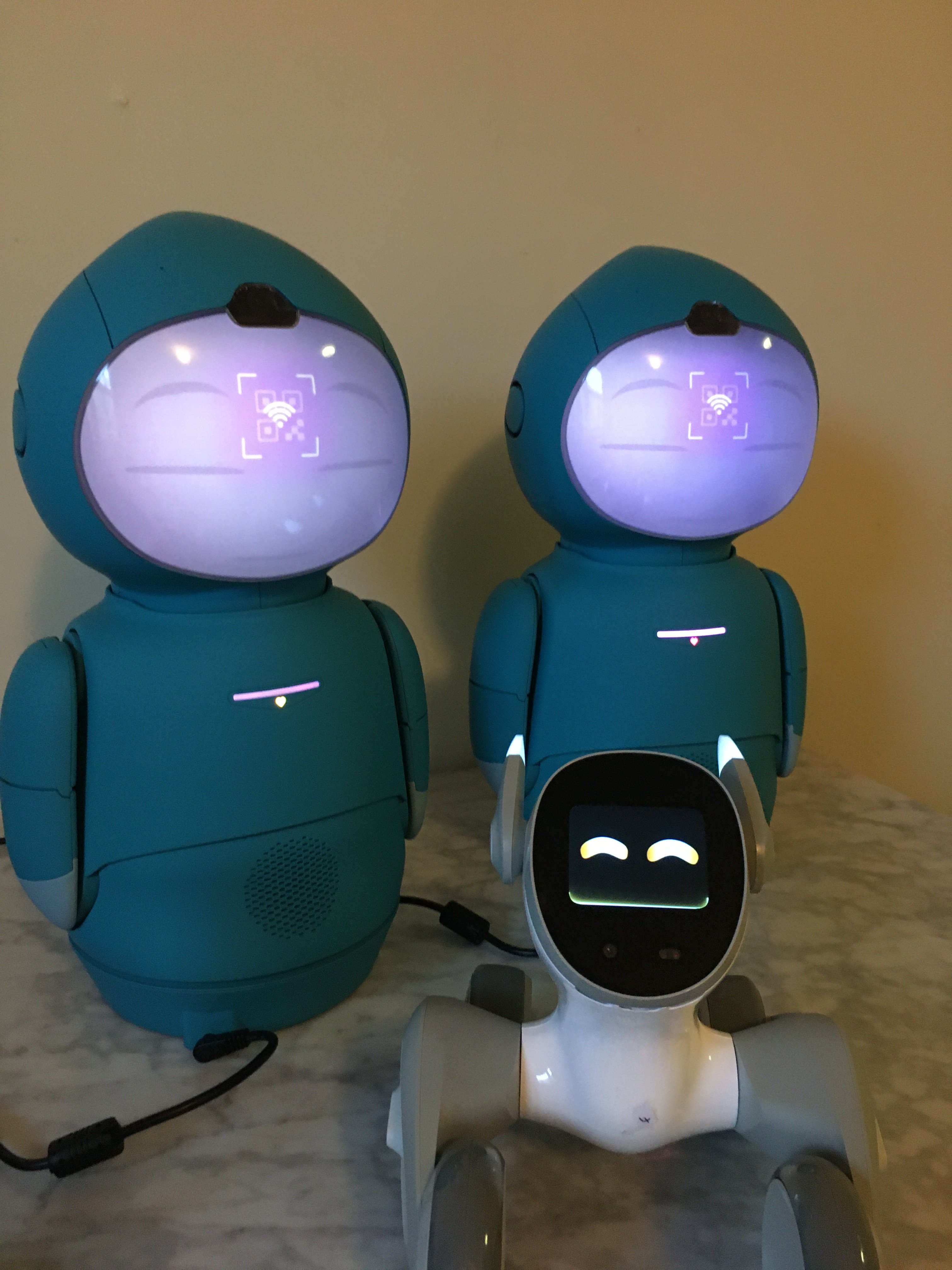 Moxie robot not connecting to Wifi