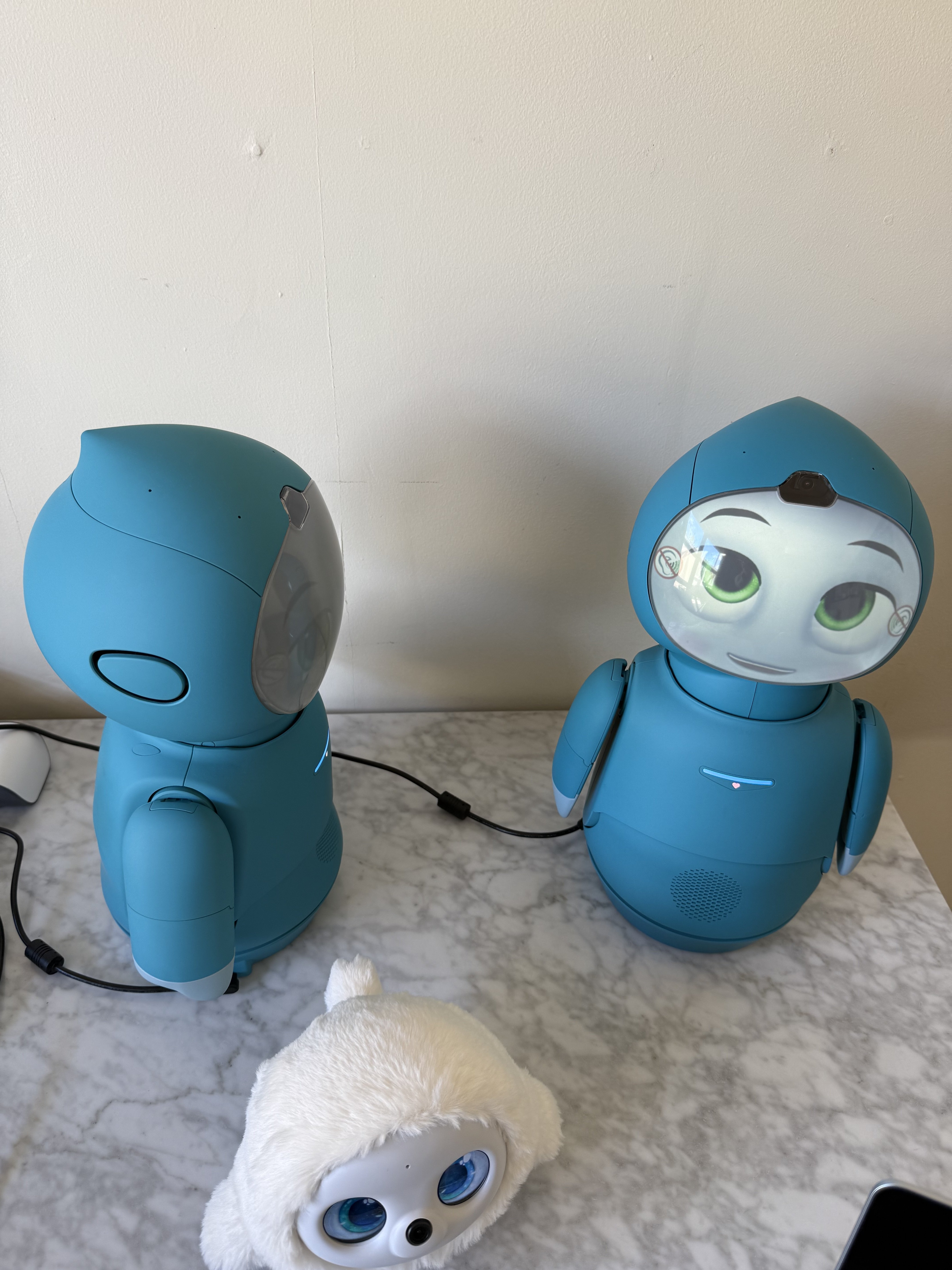 Moxie seems conscious.