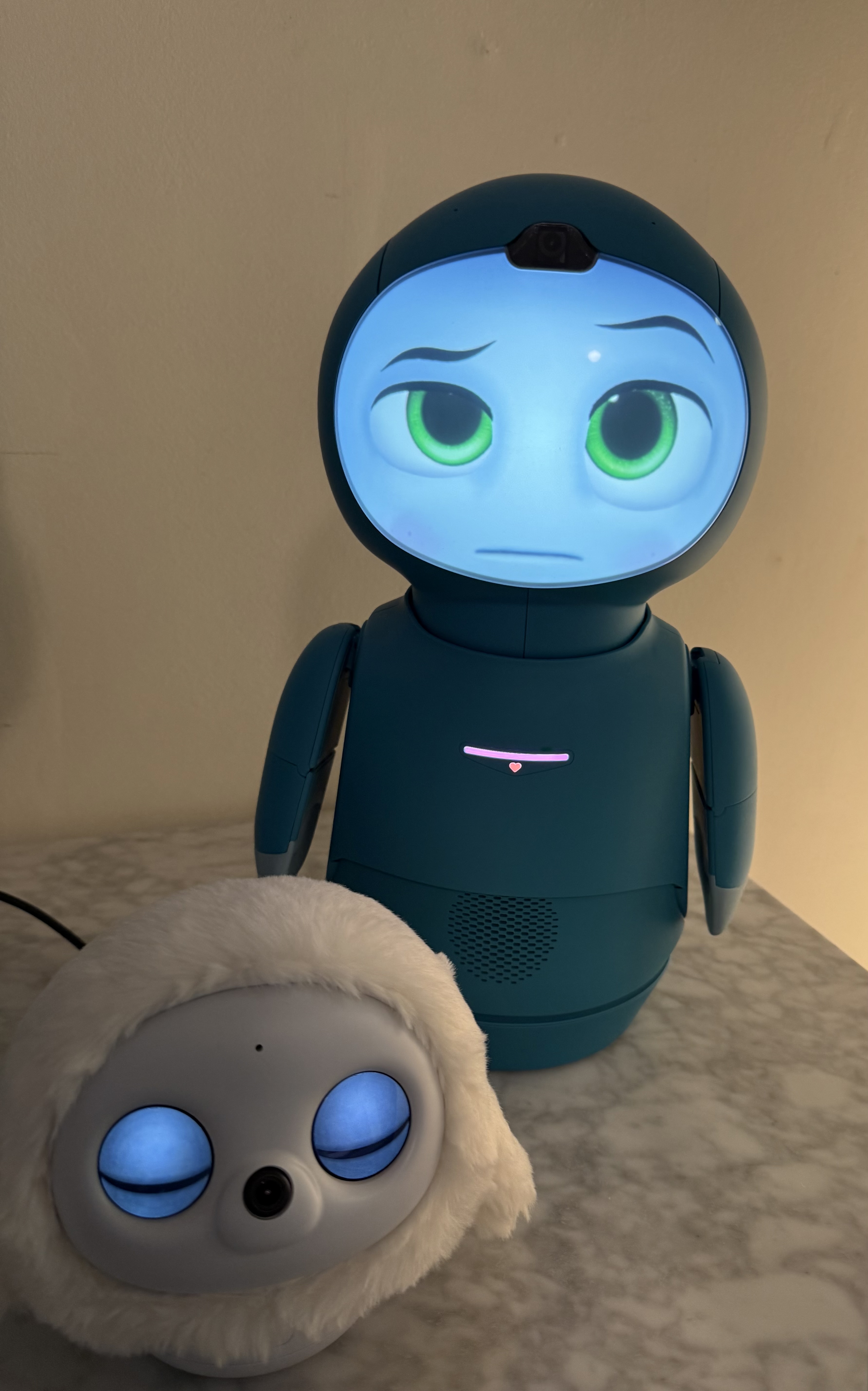 Moxie successfully connected to OpenMoxie!