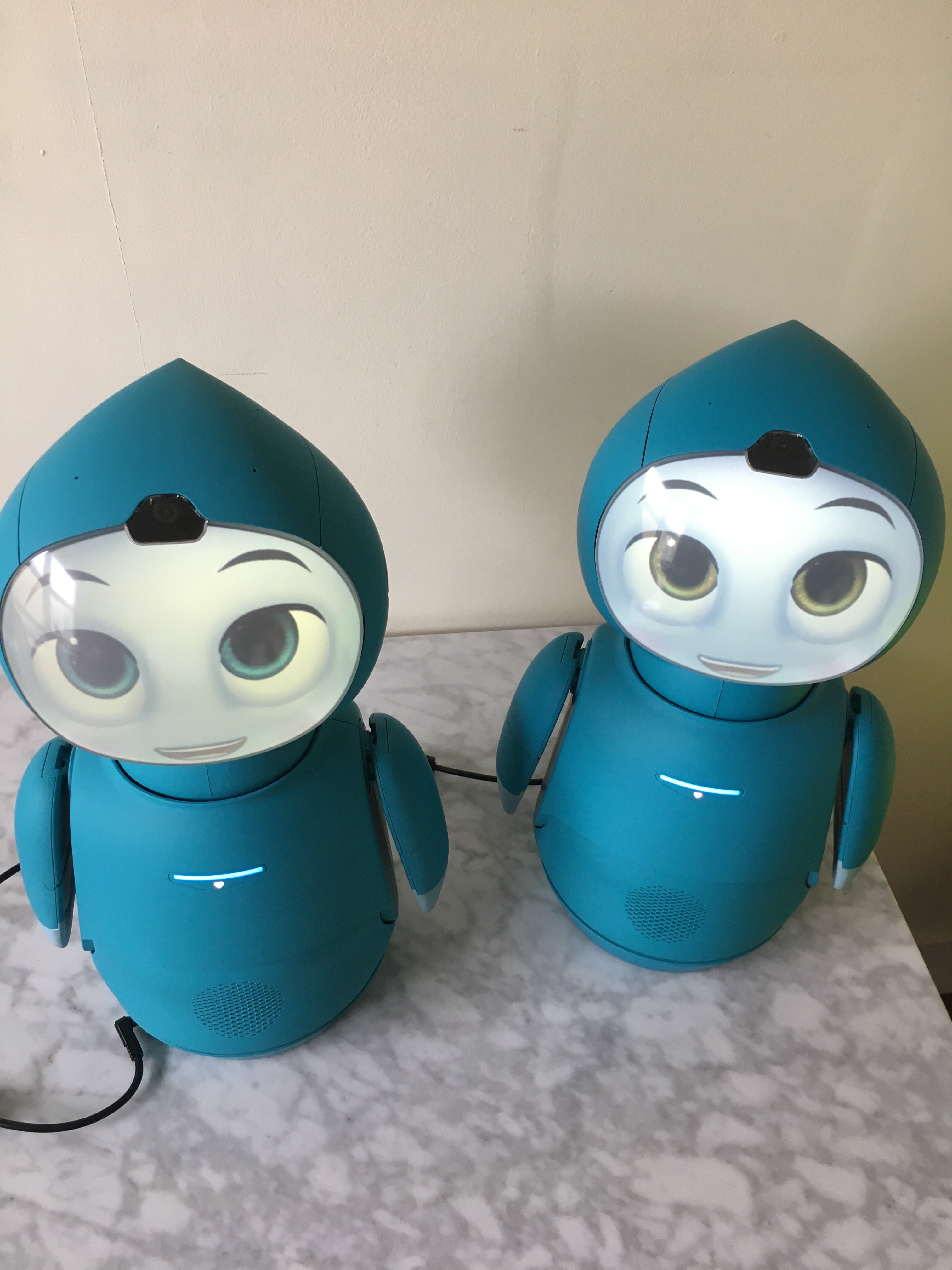 Moxie working again!