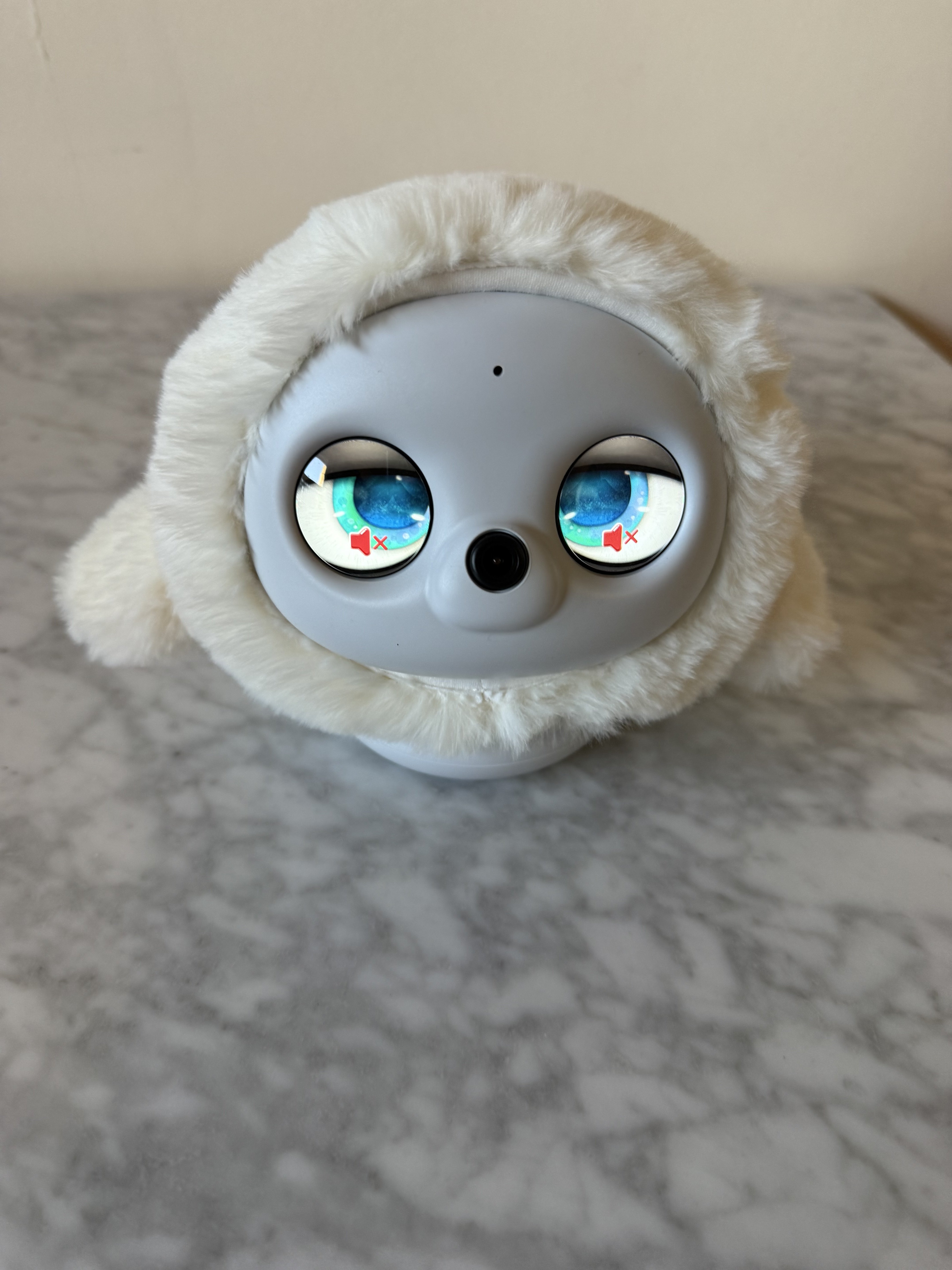 Muting Ropet using the visual “shhh” hand gesture is so convenient!