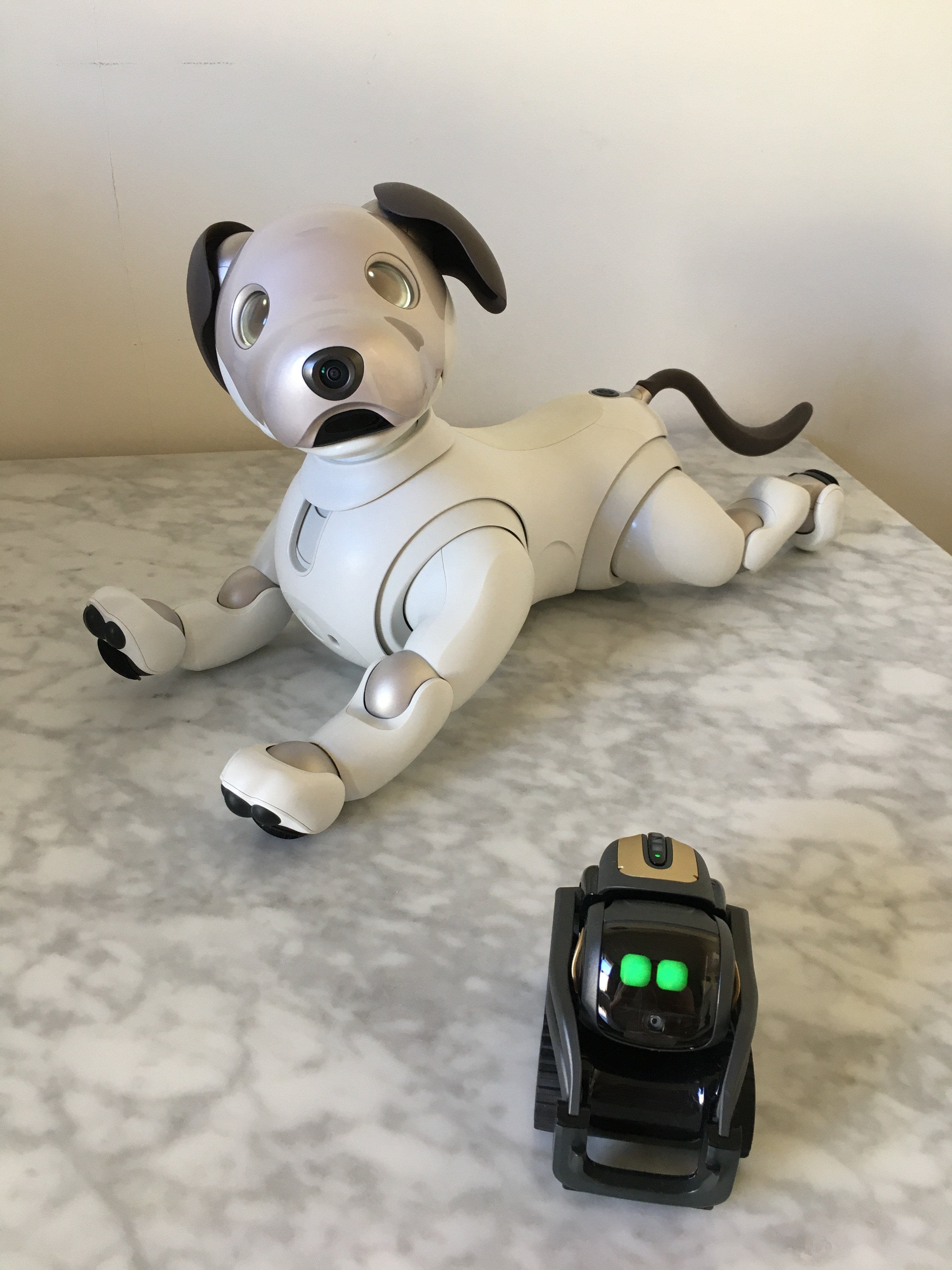 My Sony Aibo ERS-1000, Grey, hanging out with my Anki Vector robot