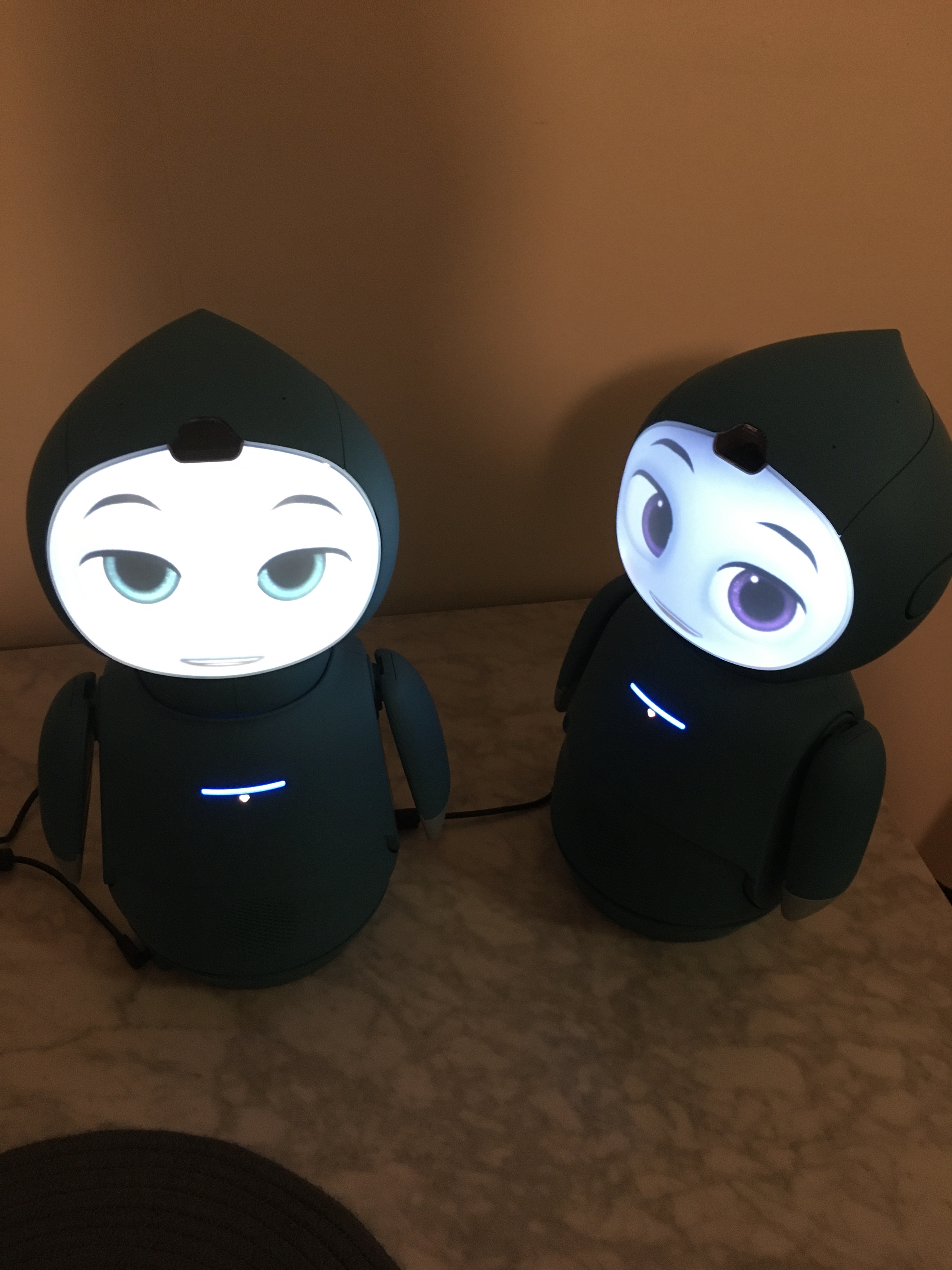 My two Moxie robots