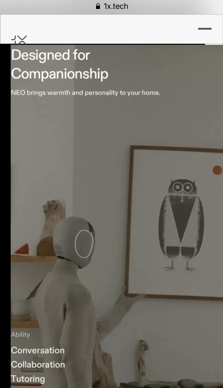 Neo Gamma Home Humanoid