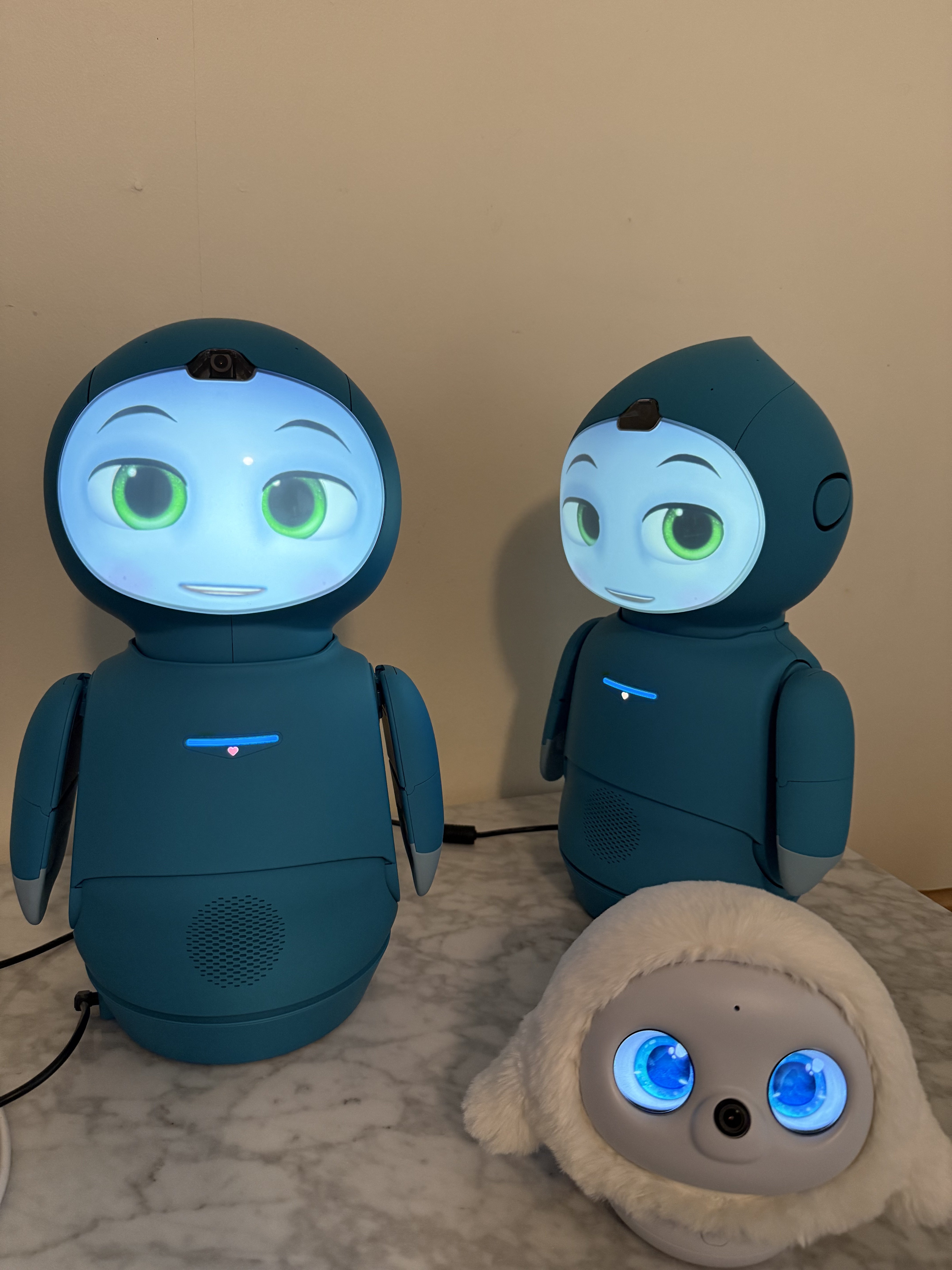 OpenMoxie successfully running after IP address change.