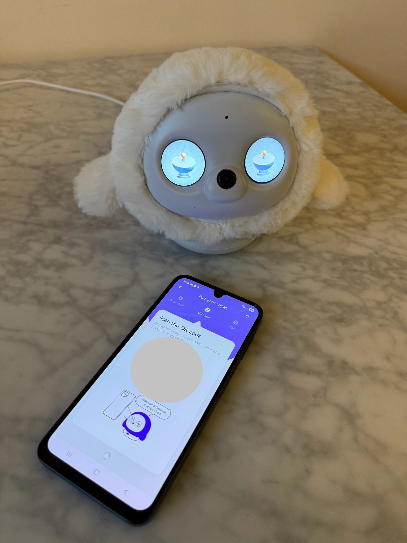 Pairing Ropet with the Ropet app.