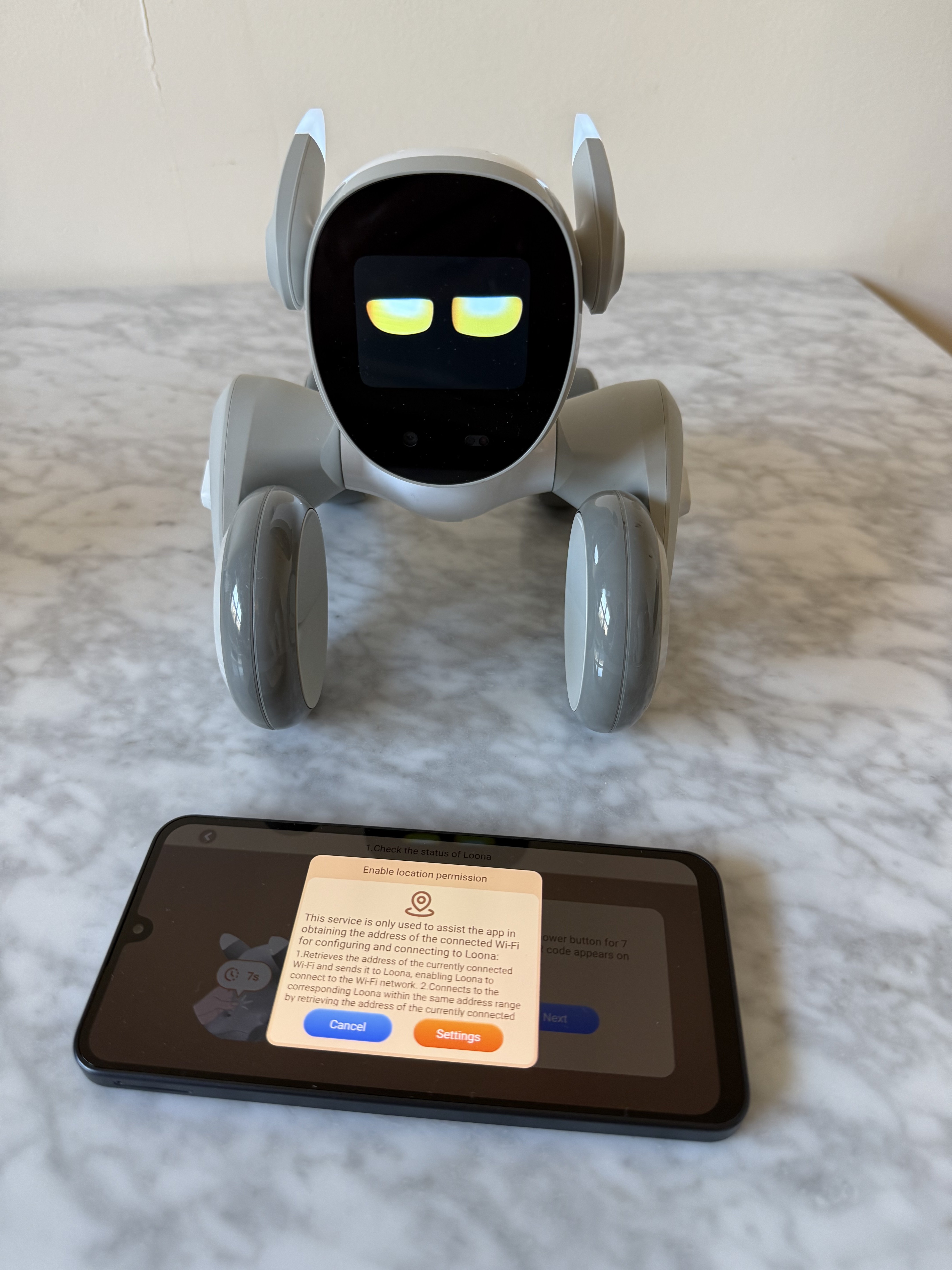 Resetting Loona’s Wifi network using the Hello Loona app.