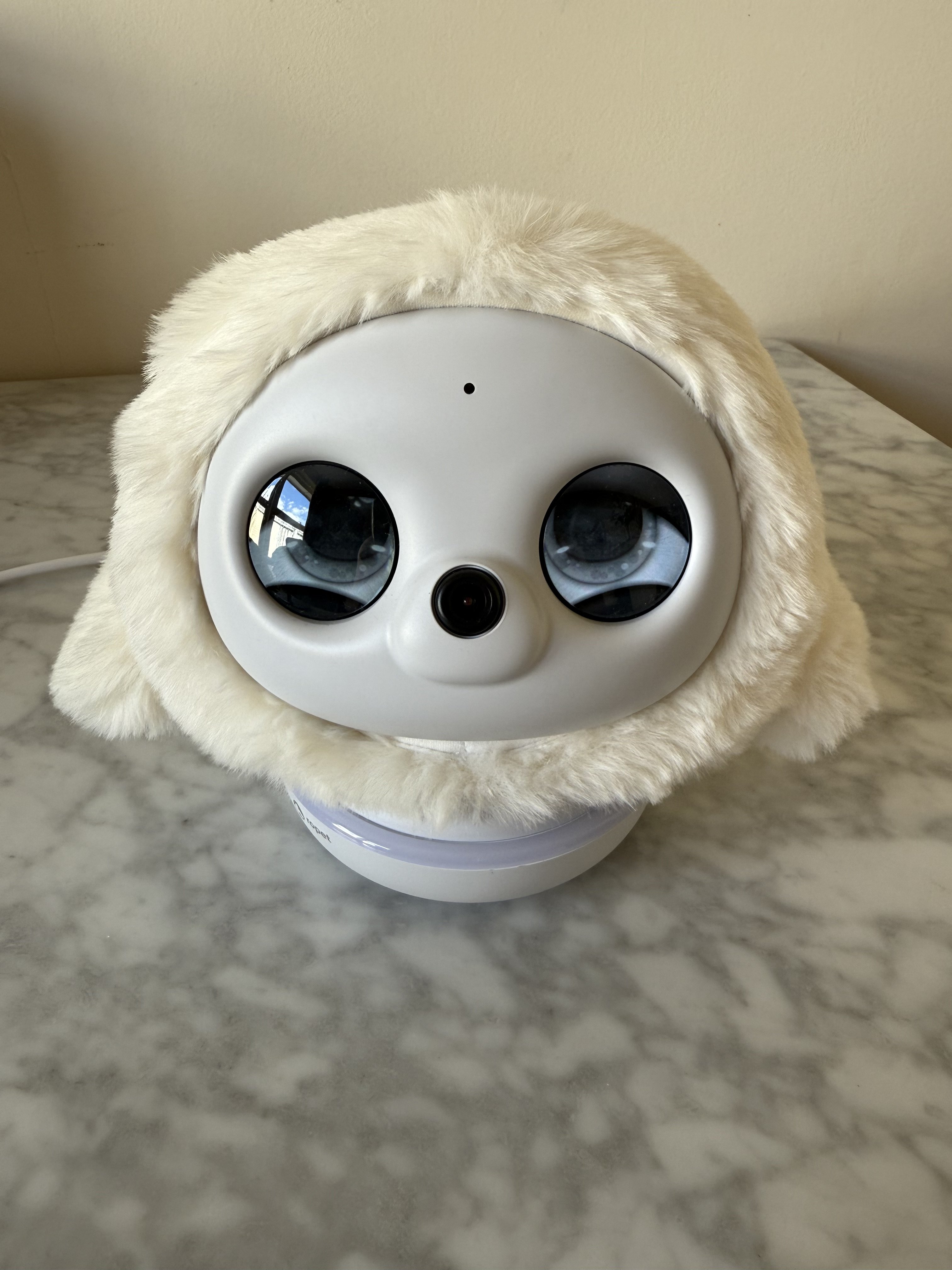 Ropet’s new black and white eyes while hungry.