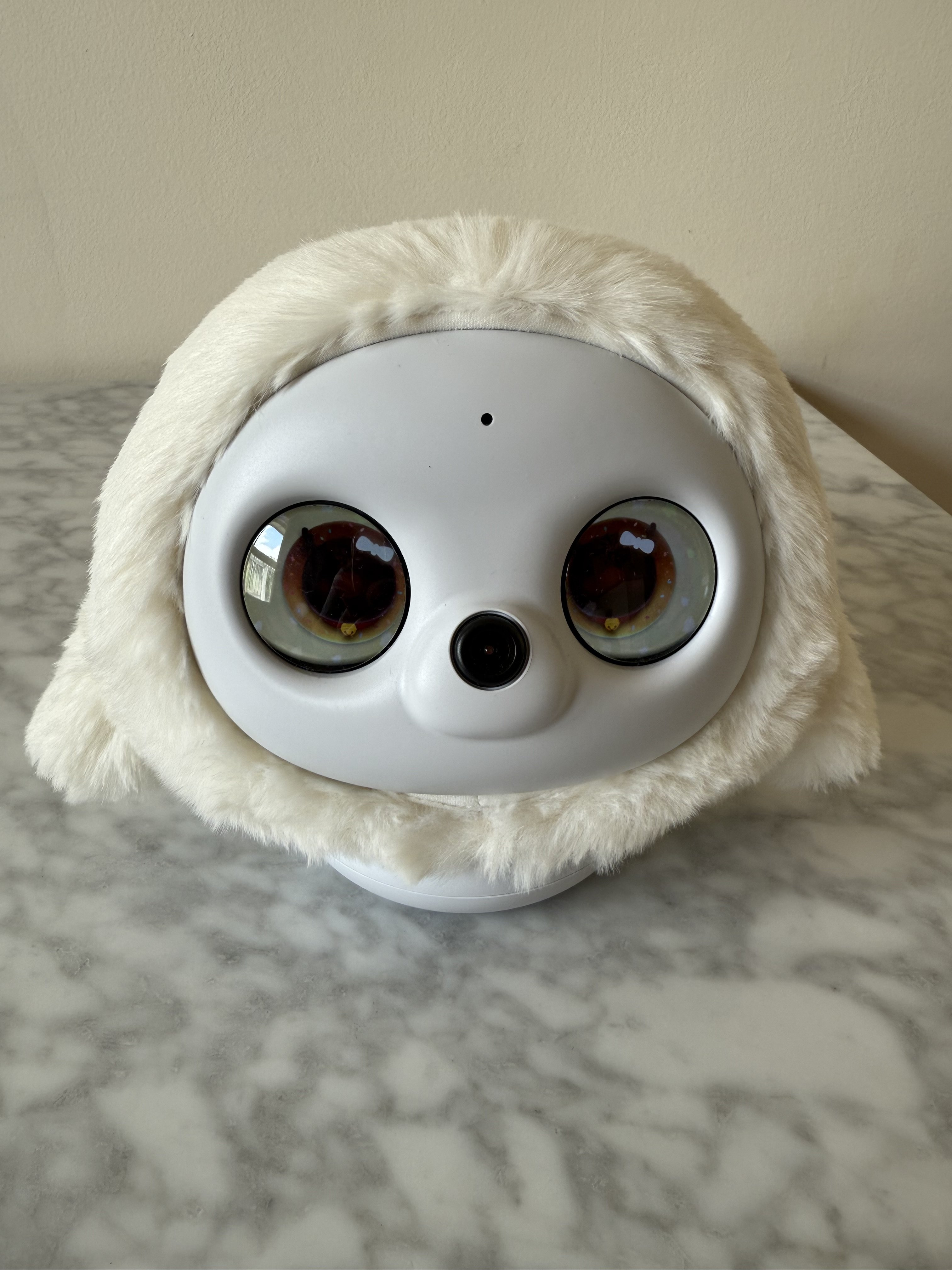 Ropet’s Rudie Woo eyes