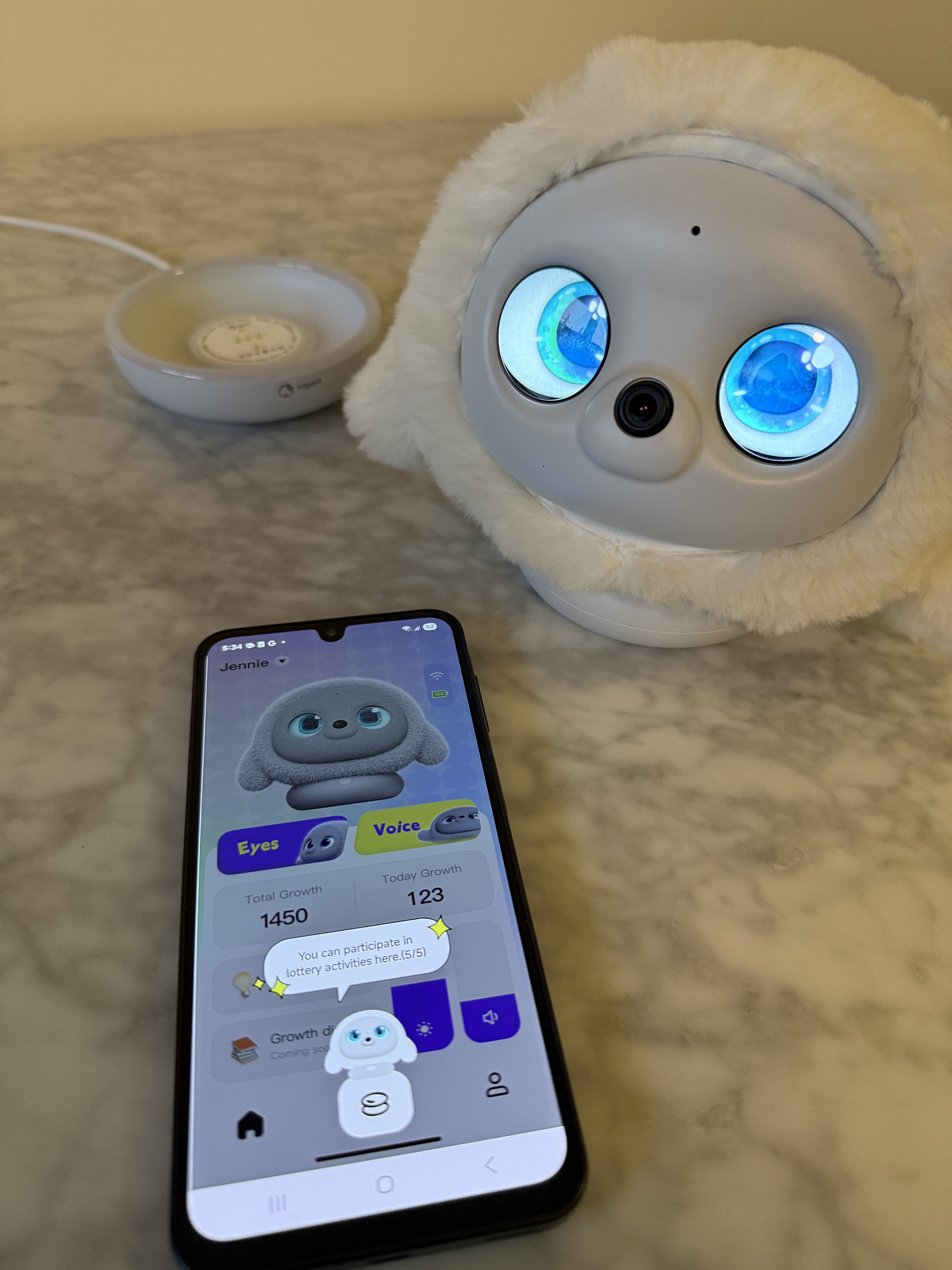 Ropet app successfully connected.