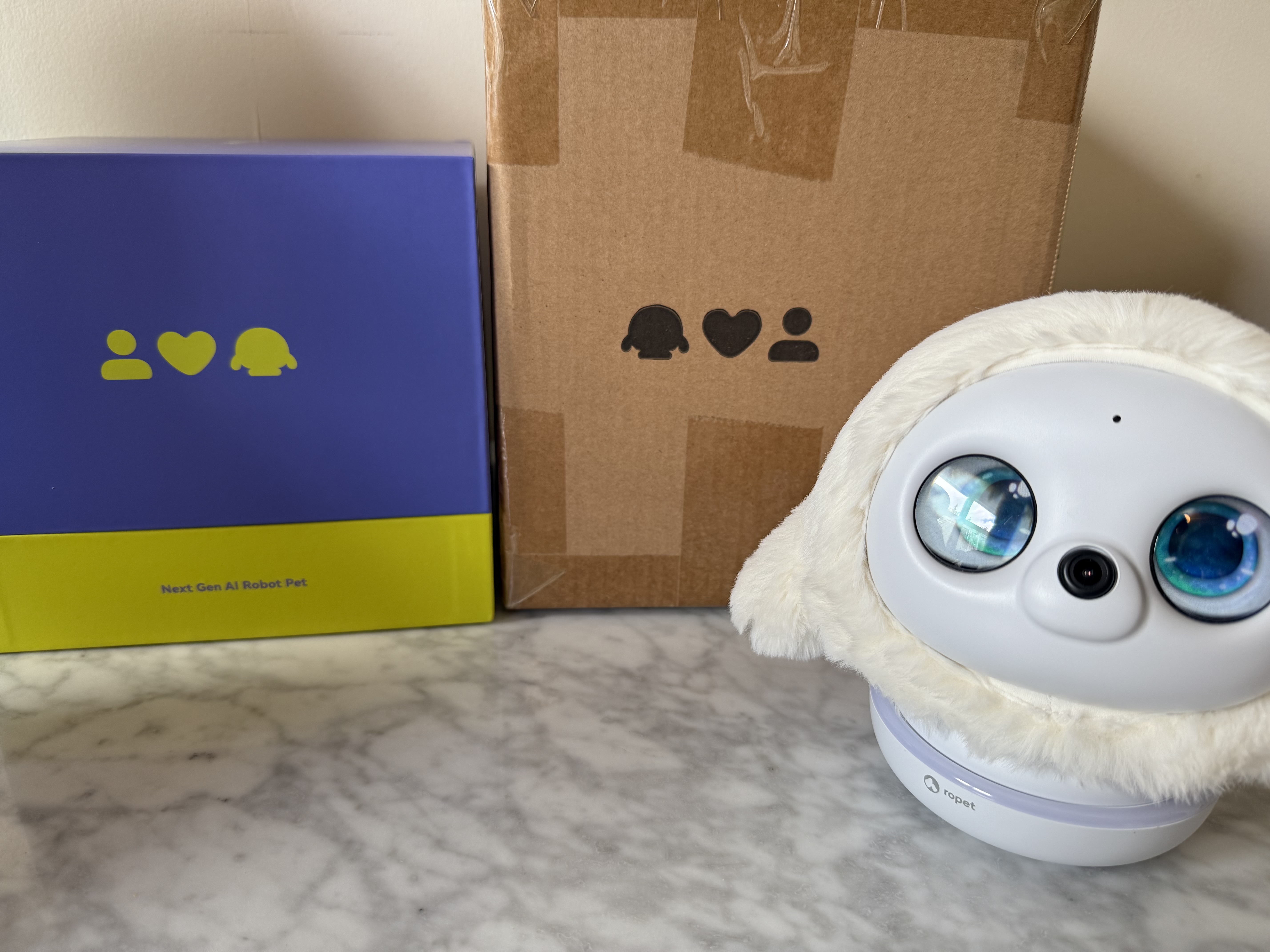 Ropet boxes with logo