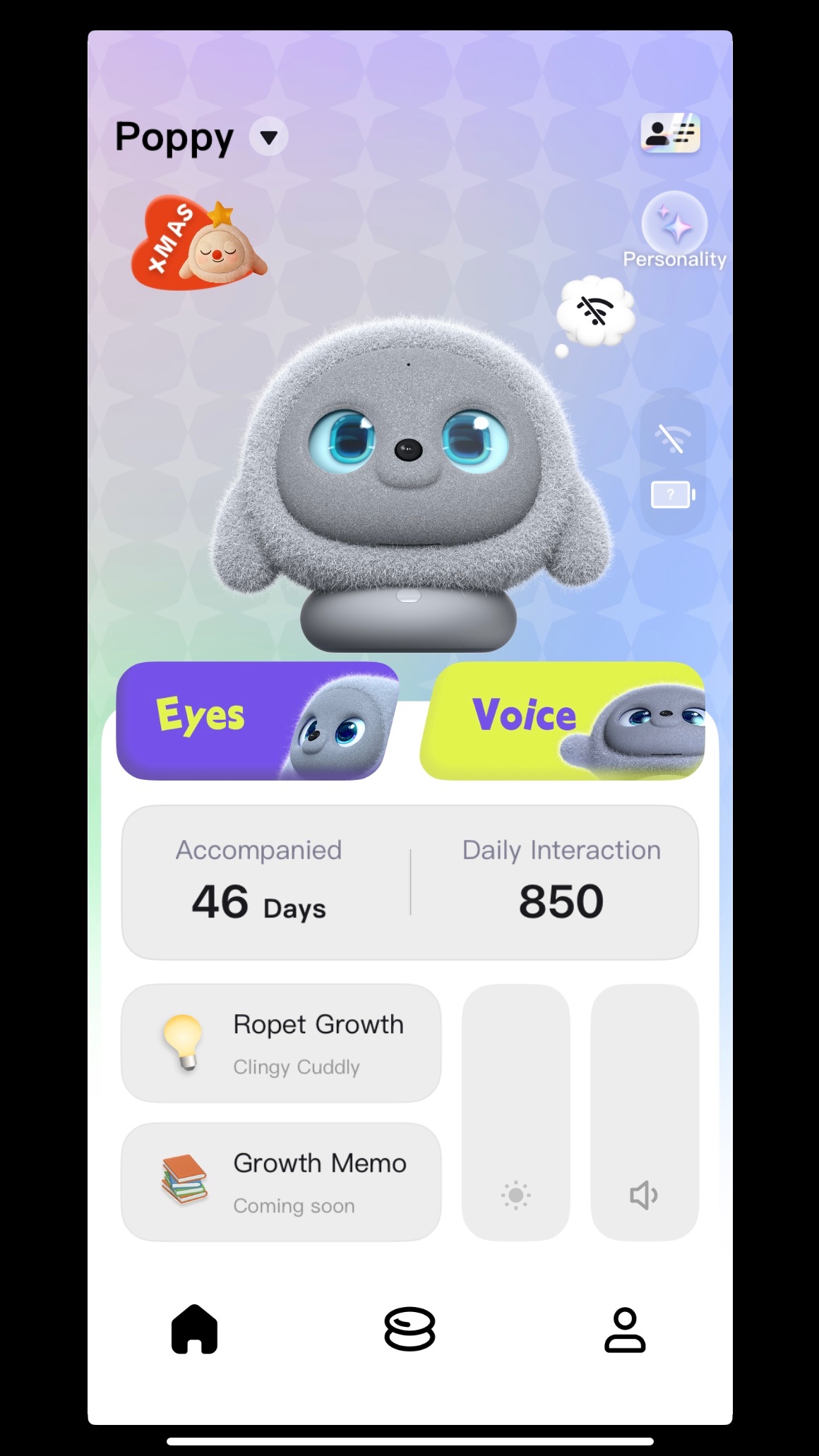 Ropet Christmas Challenge on Home Screen