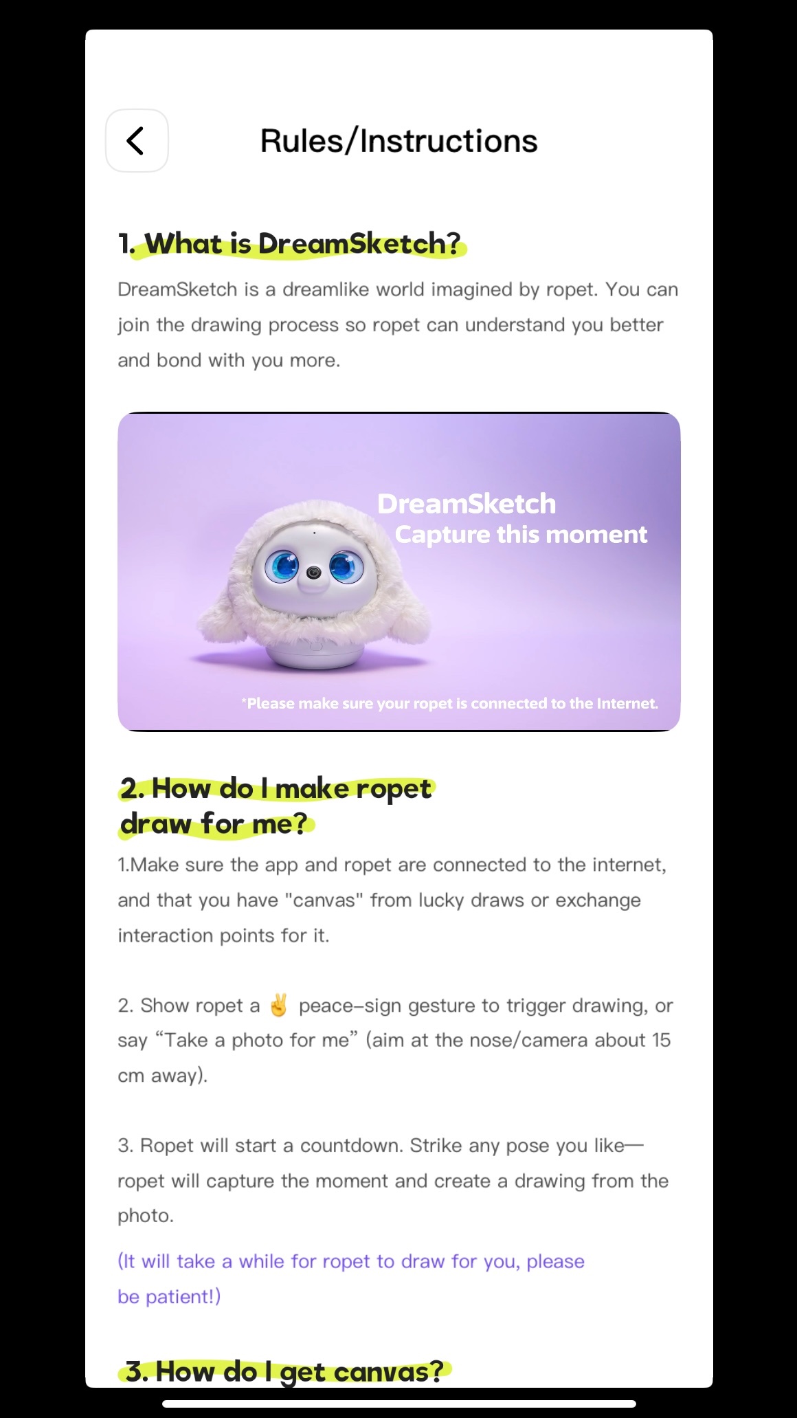 Ropet DreamSketch Instructions 1