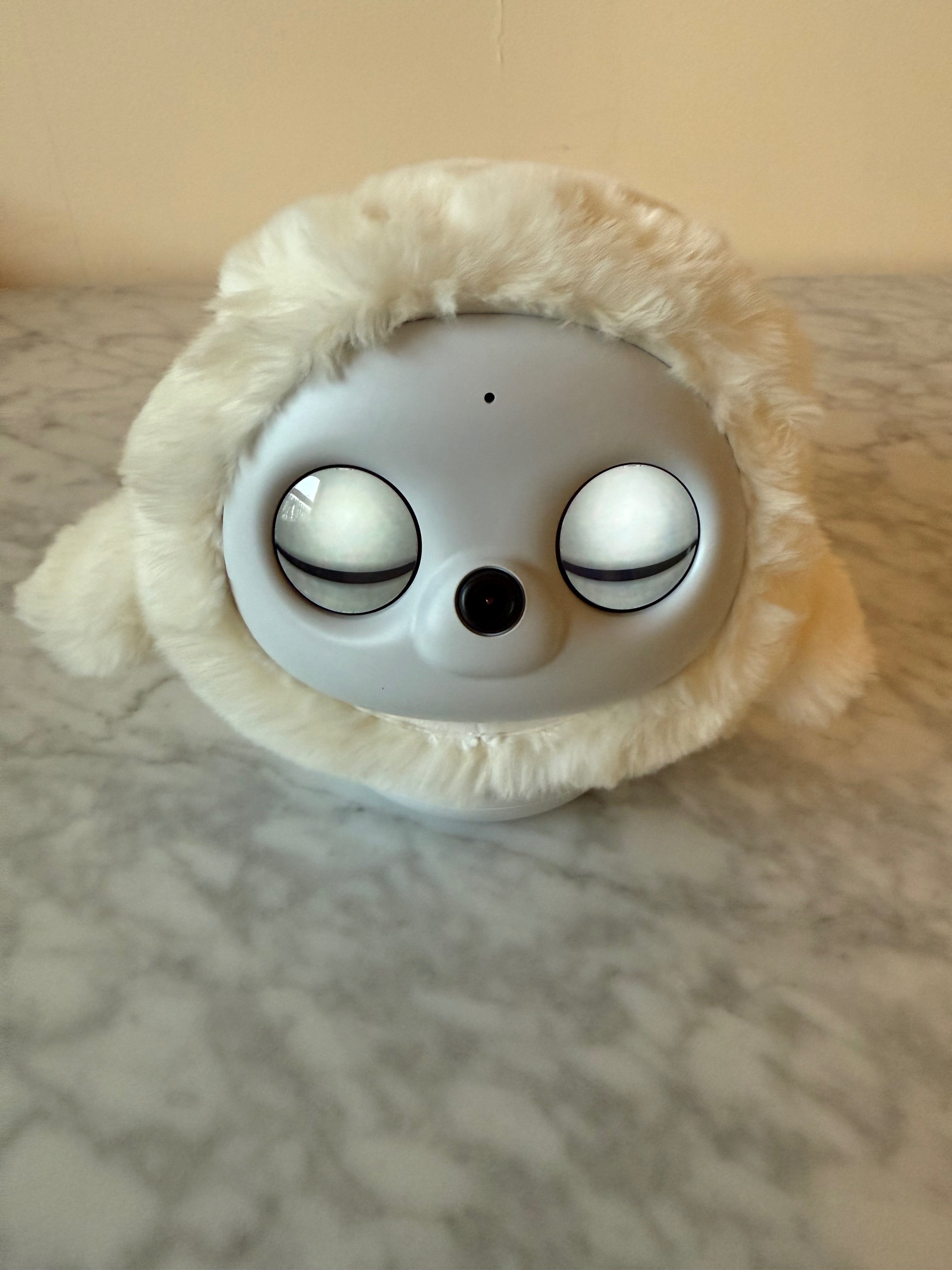 Ropet first boot. Upon powering on the first time Ropet will keep its eyes shut. Pat it to make it wake up.