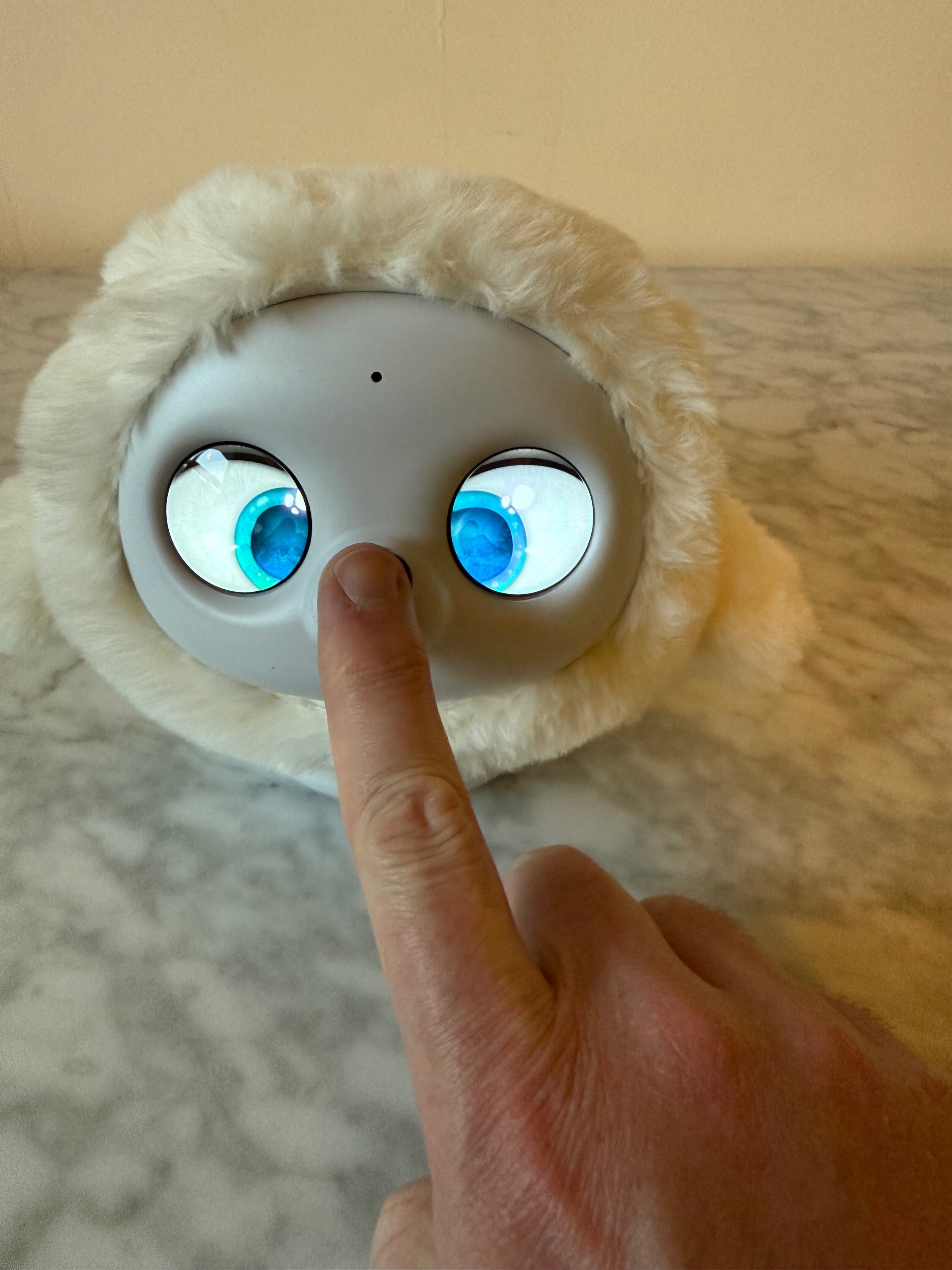 Ropet is incredibly reactive, noticing when I cover the nose camera and looking down.